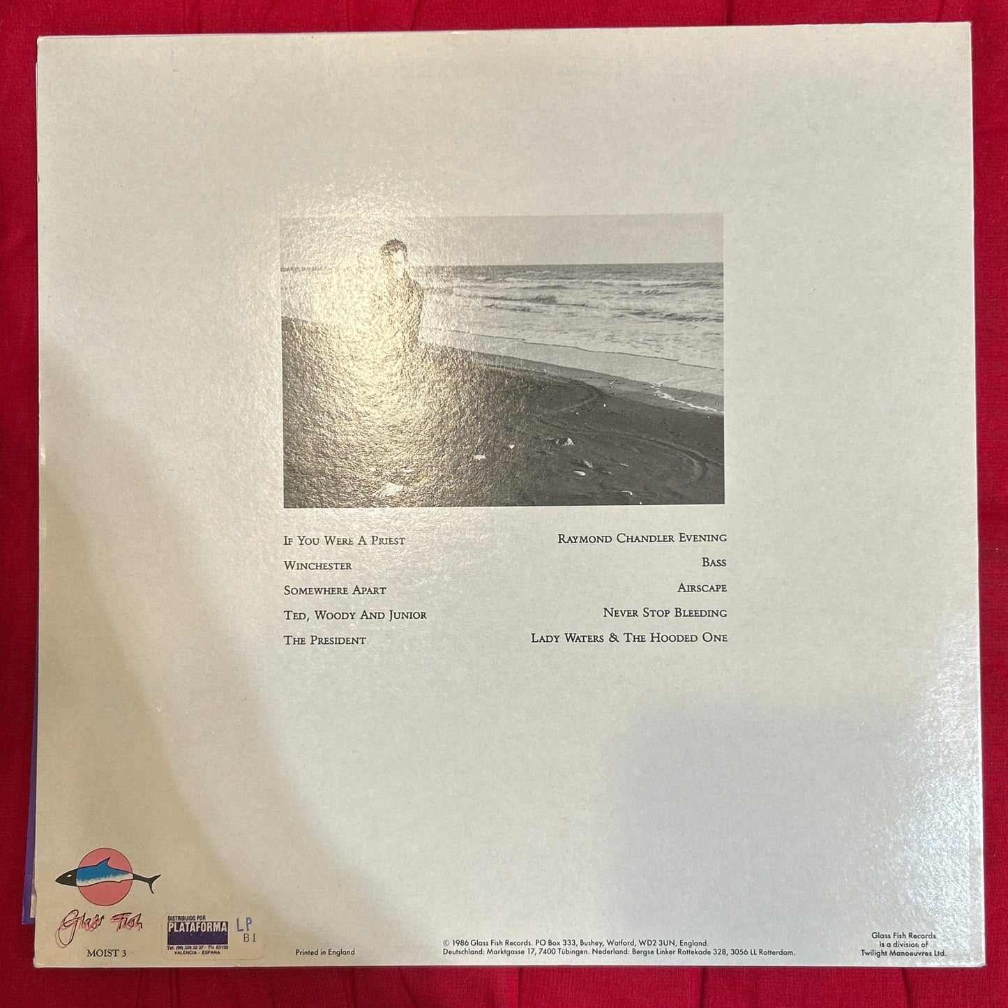 LP Robyn Hitchcock & The Egyptians ‎– Element Of Light 2ª Mano - DISCOS NAKASHA