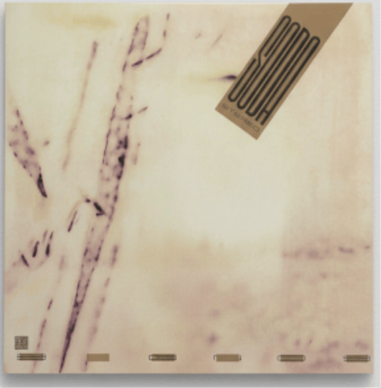 LP Soda Stereo - Signos Nuevo precintado - DISCOS NAKASHA