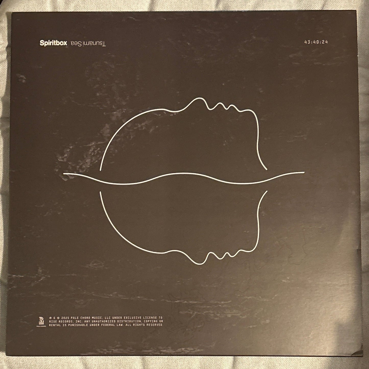 LP Spiritbox ‎– Tsunami Sea 2ª Mano - DISCOS NAKASHA