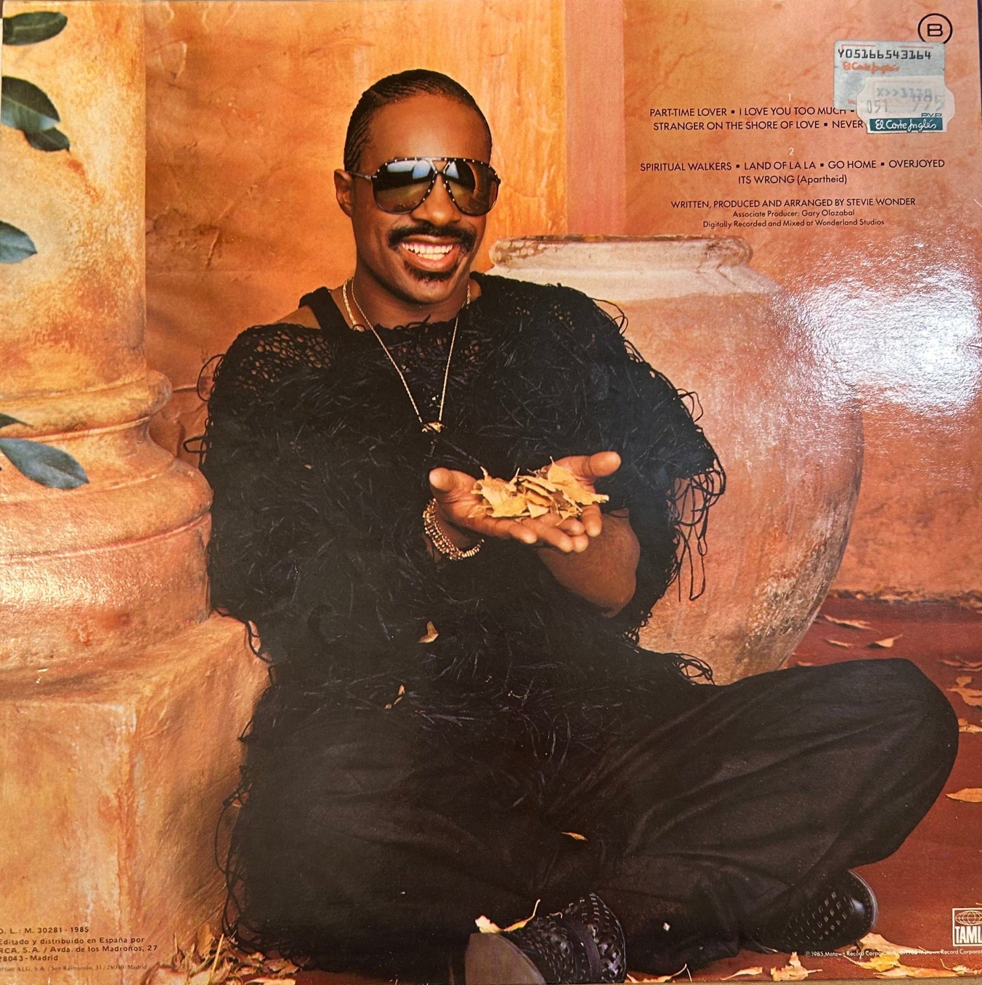 LP Stevie Wonder – In Square Circle 2ª Mano - DISCOS NAKASHA