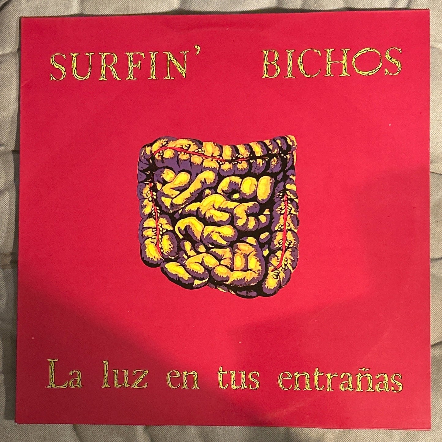 LP Surfin' Bichos – La Luz En Tus Entrañas 2ª Mano - DISCOS NAKASHA