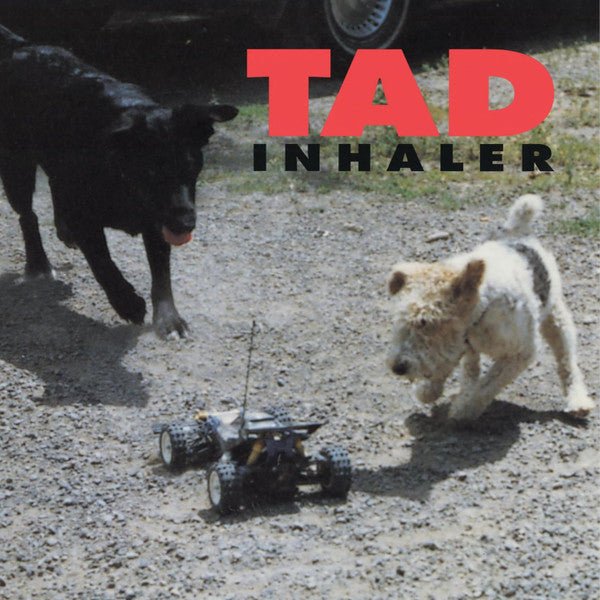 LP Tad – Inhaler Nuevo precintado - DISCOS NAKASHA