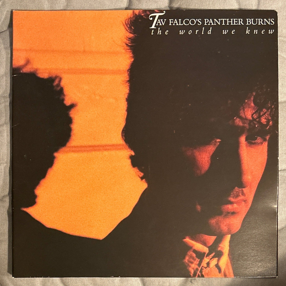 LP Tav Falco's Panther Burns ‎– The World We Knew 2ª Mano - DISCOS NAKASHA