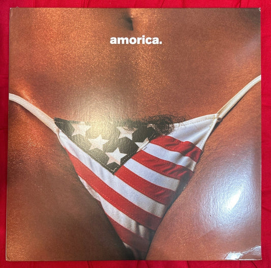 LP The Black Crowes - Amorica 2ª Mano - DISCOS NAKASHA