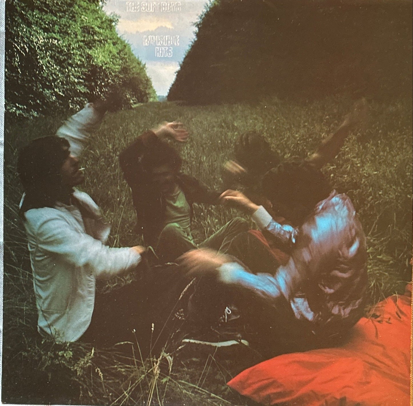 LP The Soft Boys ‎– Invisible Hits 2ª Mano - DISCOS NAKASHA