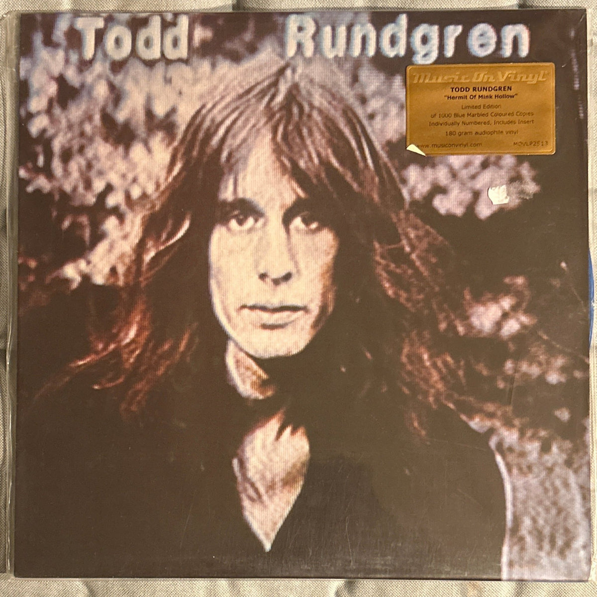 LP Todd Rundgren ‎– Hermit Of Mink Hollow 2ª Mano - DISCOS NAKASHA