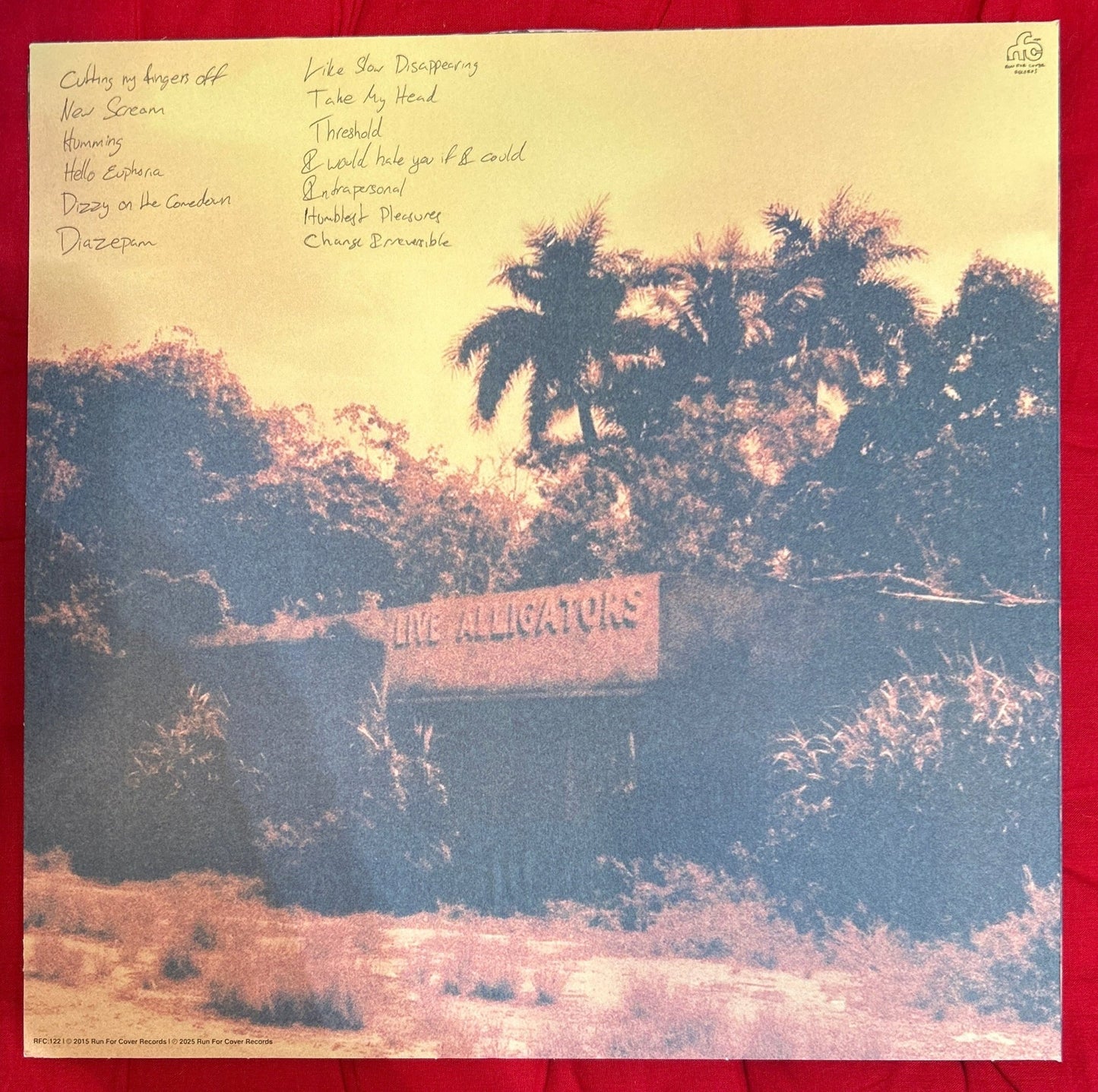 LP Turnover ‎– Peripheral Vision 2ª Mano - DISCOS NAKASHA