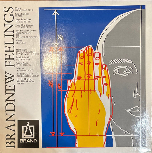 LP V/A ‎– Brandnew Feelings 2ª Mano (Producto exclusivo recogida en tienda) - DISCOS NAKASHA