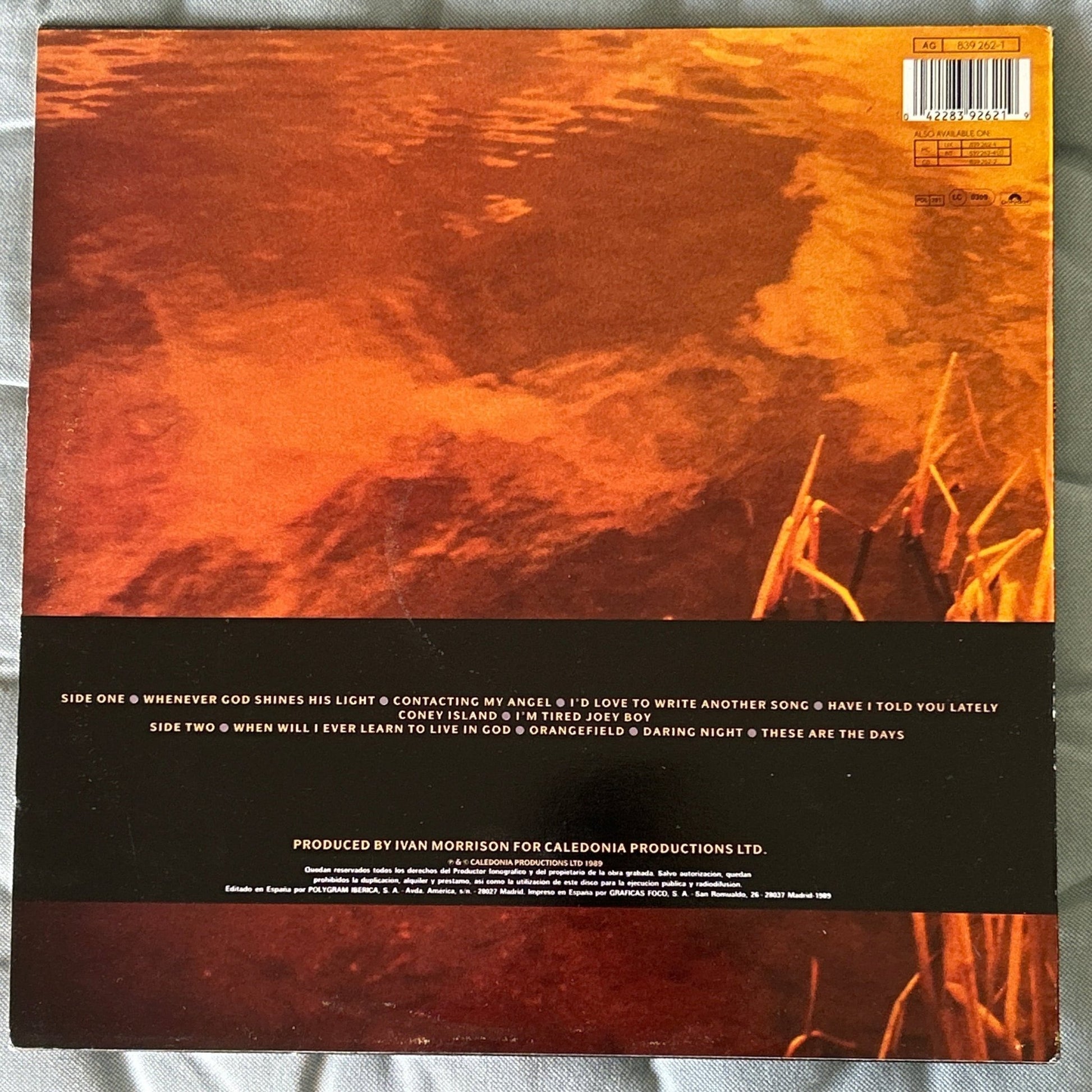 LP Van Morrison ‎– Avalon Sunset 2ª Mano - DISCOS NAKASHA