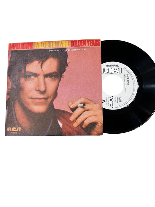 SINGLE David Bowie - Wild is the wind (Salvaje es el viento) 2ª Mano - DISCOS NAKASHA