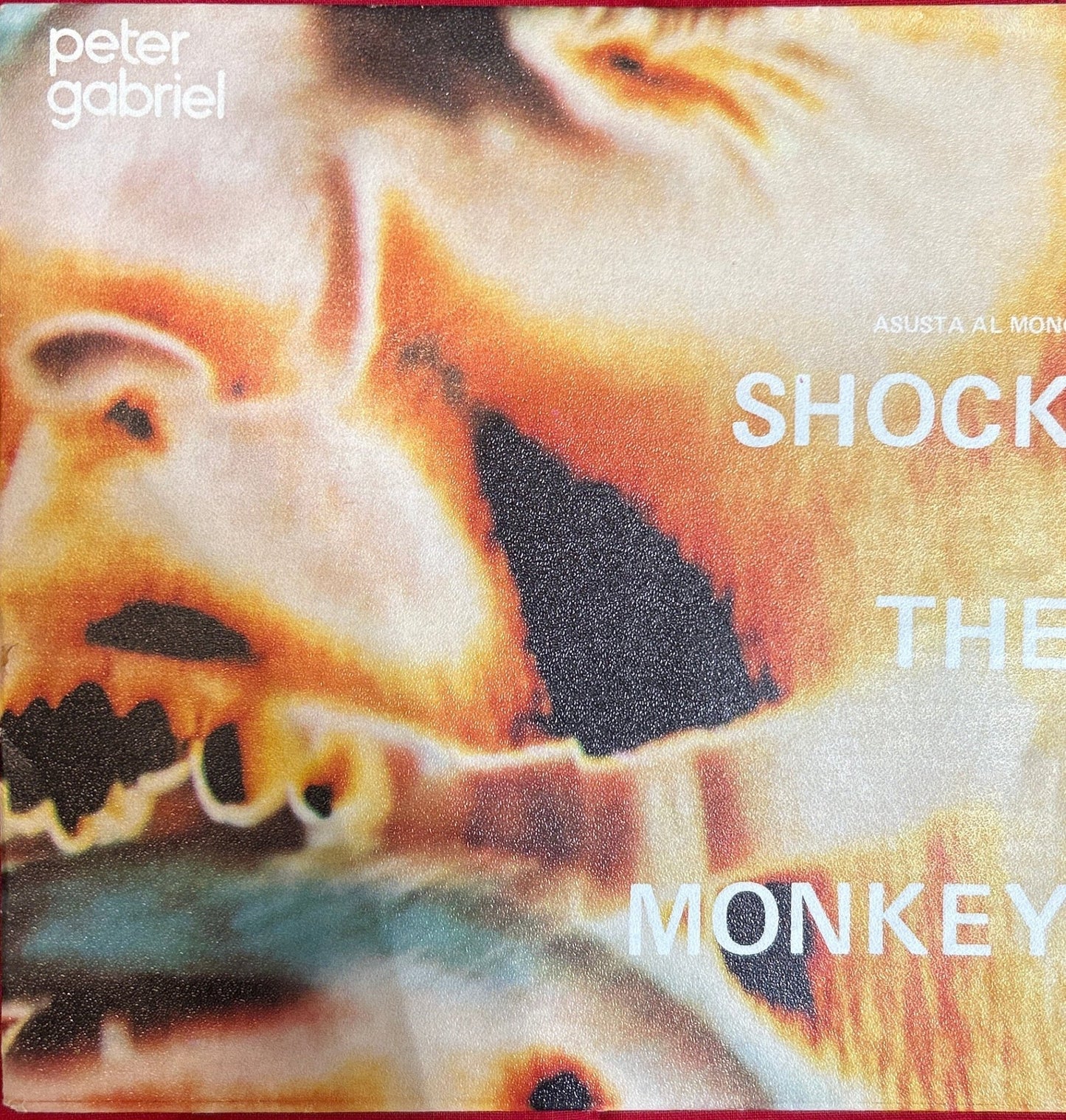SINGLE Peter Gabriel – Shock The Monkey = Asusta al Mono 2ª Mano (Producto exclusivo recogida en tienda) - DISCOS NAKASHA