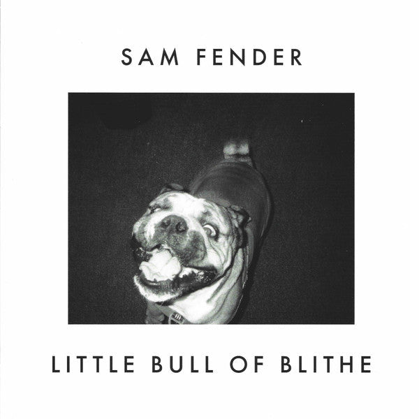 Single Sam Fender ‎– Wild Grey Ocean / Little Bull Of Blithe Nuevo precintado - DISCOS NAKASHA